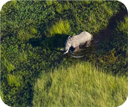 Botswana