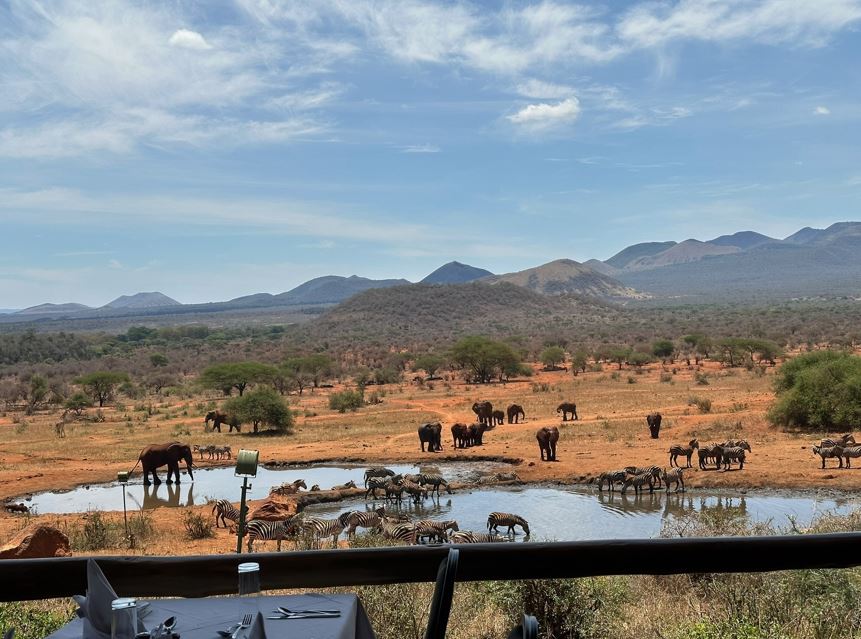 Safari scene in Kenya, photographed by the family