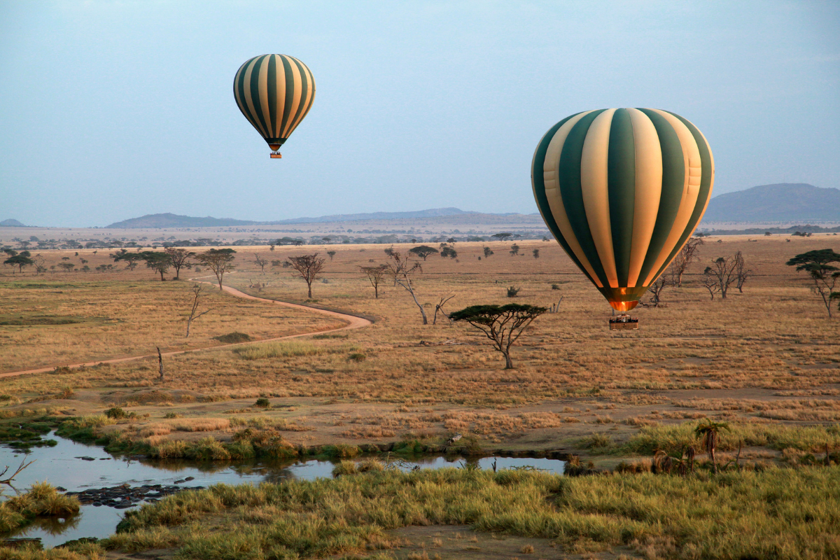 Hot air balloon over the savannah at sunrise